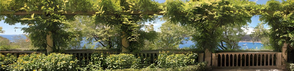 Leafy pergola above a sunlit sea