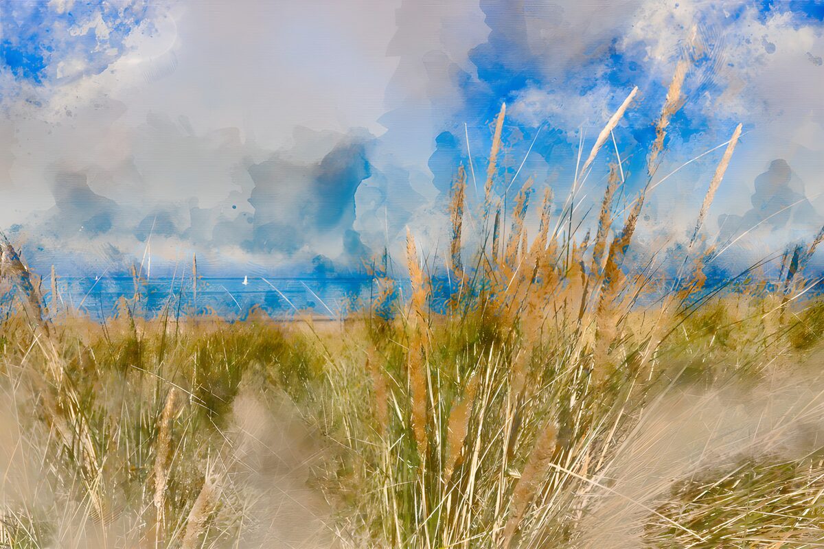 Dune grasses beneath a summer sky