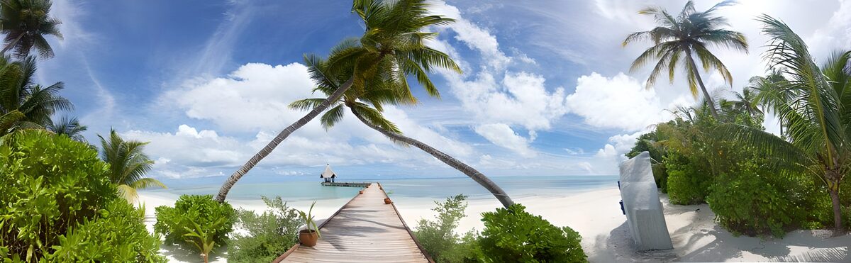Palm-lined boardwalk to a turquoise sea