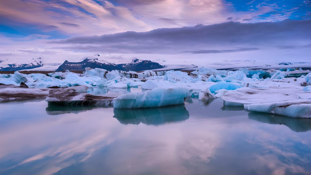 Icebergs beneath a pink mountain sky