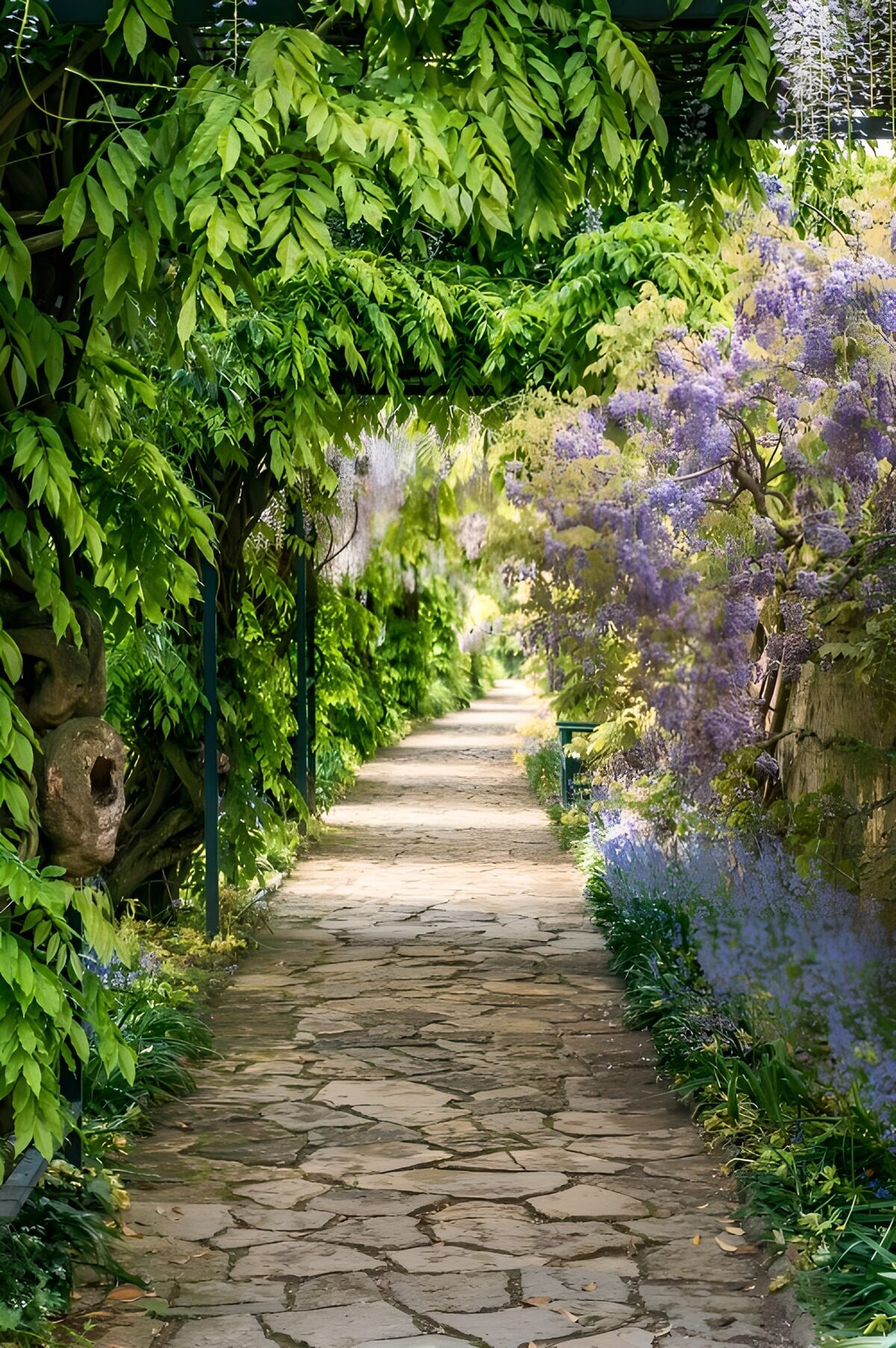 A quiet stone path beneath wisteria