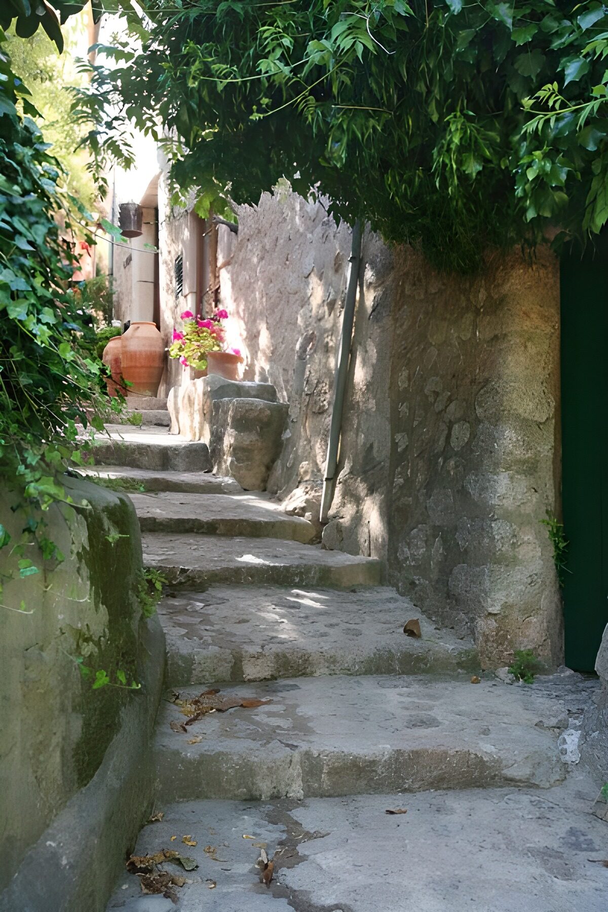 Worn stone steps in a leafy lane