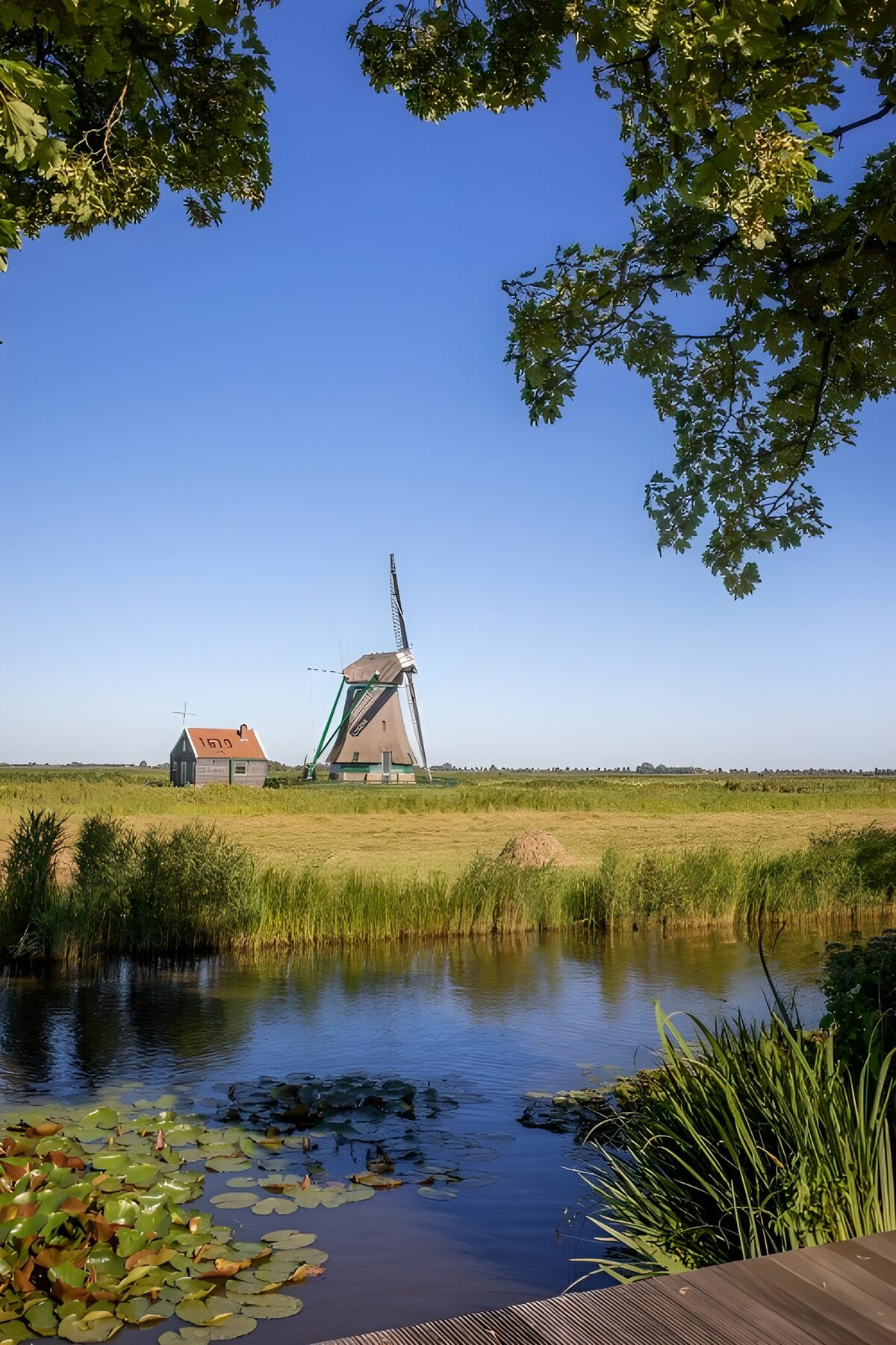 Windmill beside a quiet canal