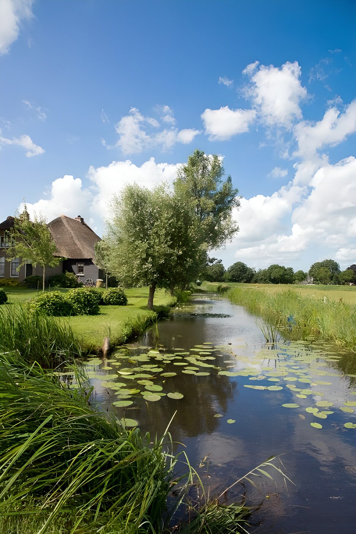 Summer ditch beside a thatched house