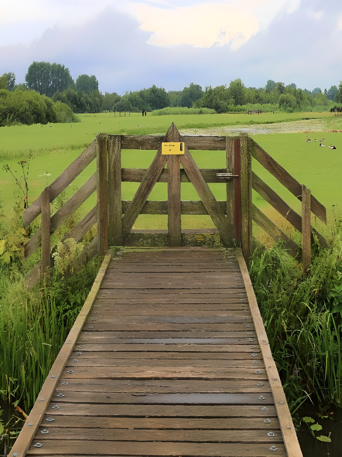 Weathered footbridge to a quiet wetland