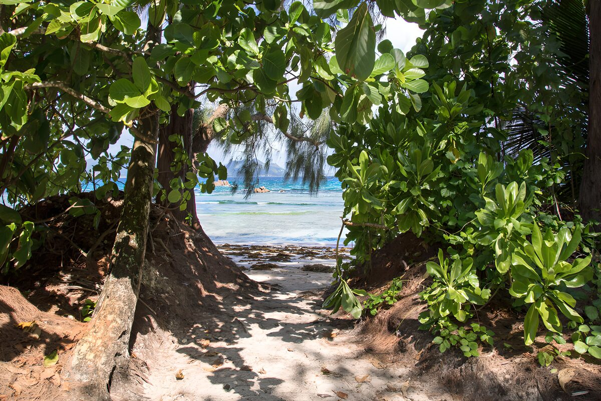 Shaded path to a turquoise sea