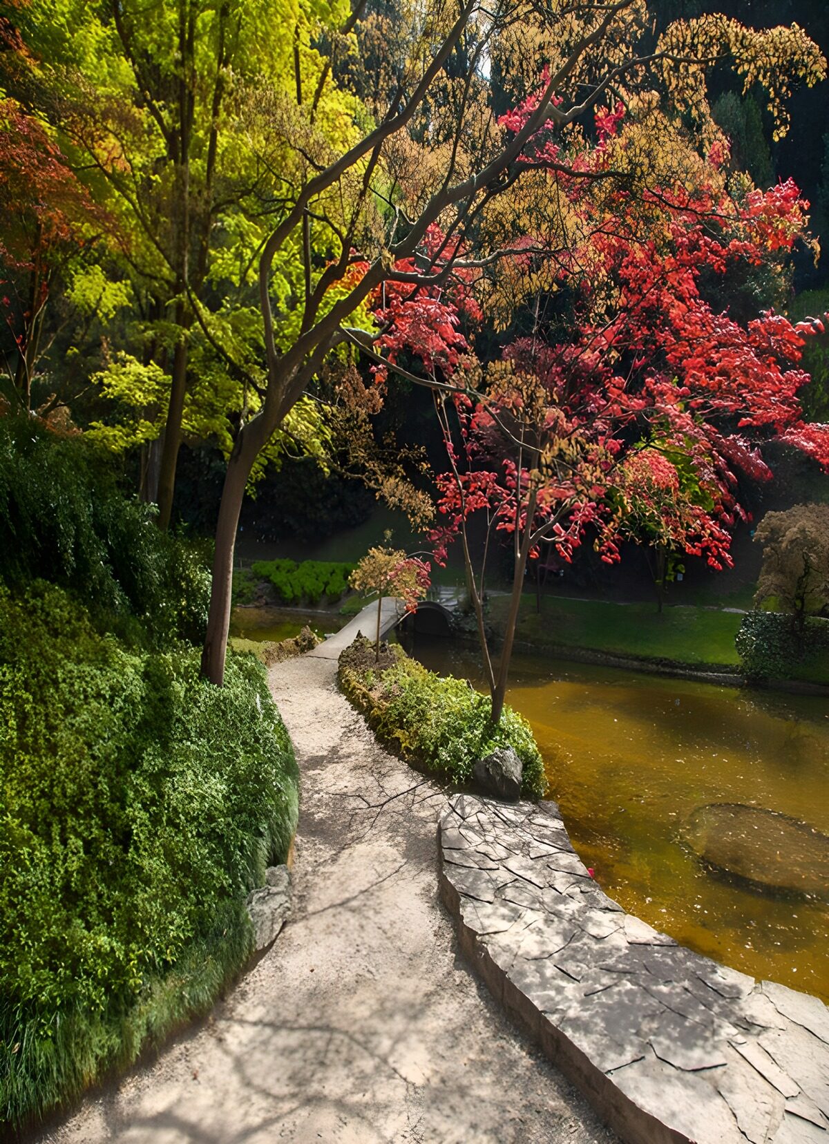 Quiet garden path beside the pond