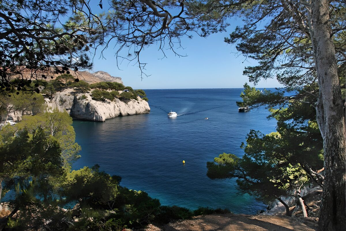 Pine-framed bay in the summer sun