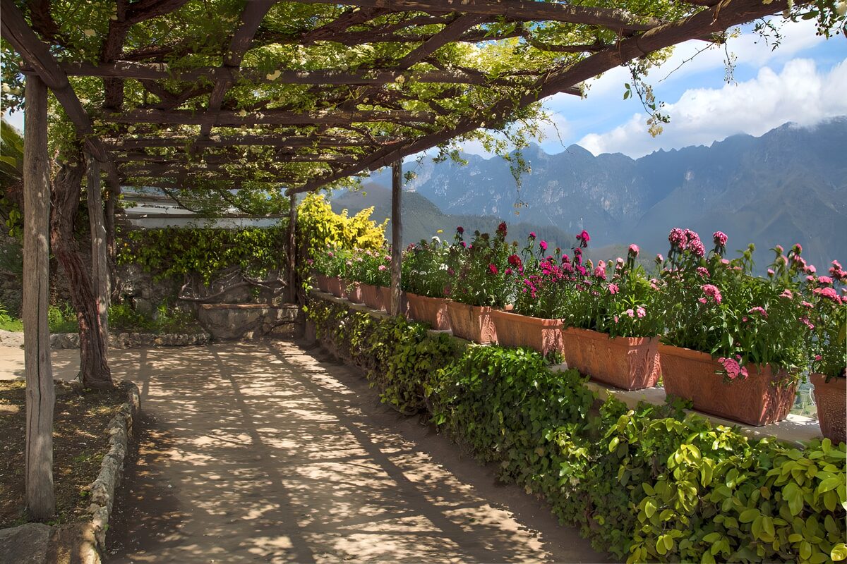Flower-filled pergola with mountain views
